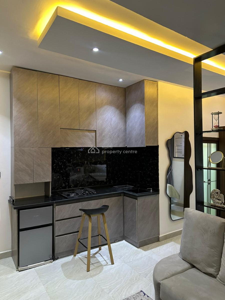 Luxurious 1 Bedroom Apartment, The Verde, Wuye, Abuja, Mini Flat (room and Parlour) Short Let