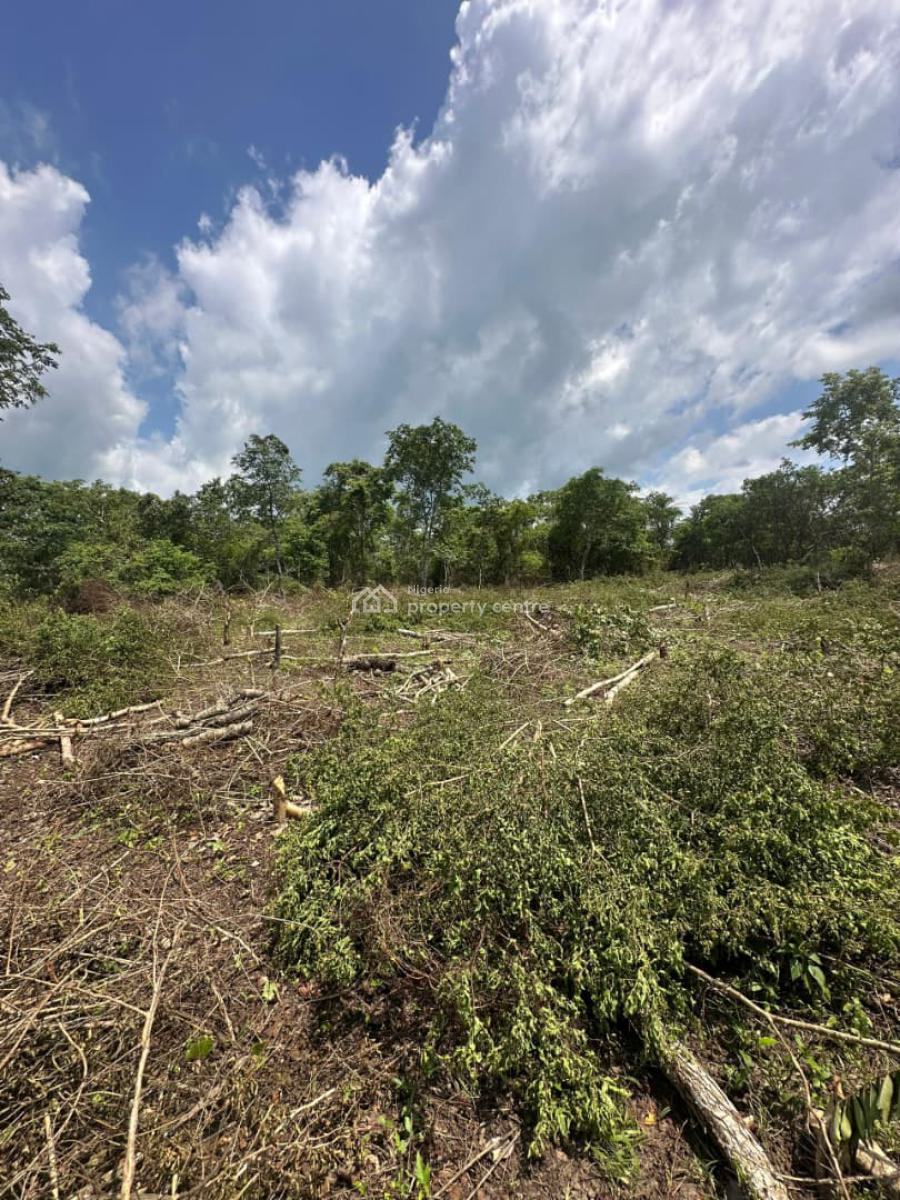Invest in Palm Oil Farming and Watch Your Land Produce Steady Income, Alabata, Odeda, Ogun, Land for Sale