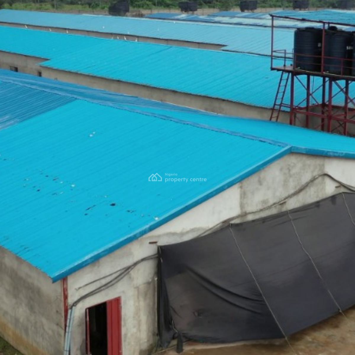 Poultry Available, Ijebu Ode, Ogun, Factory for Sale