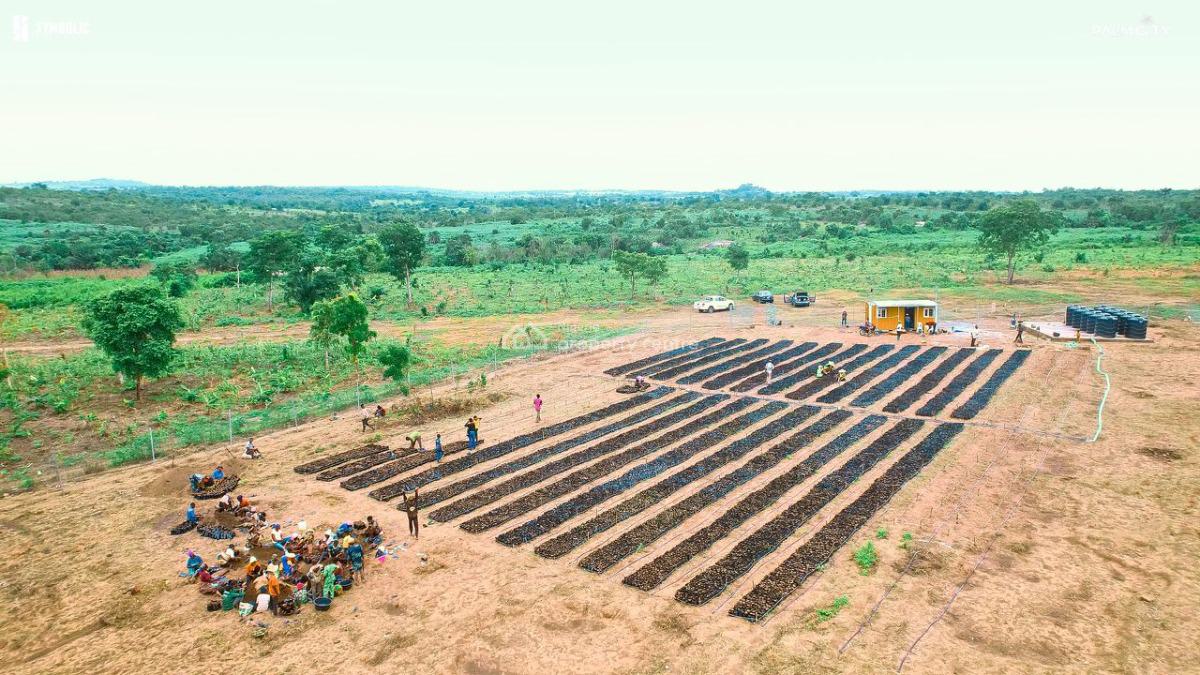 1 Acre of Palm City Farm, Palm Plantation Farm - Palm City Farm Ibadan, Iseyin, Oyo, Mixed-use Land for Sale