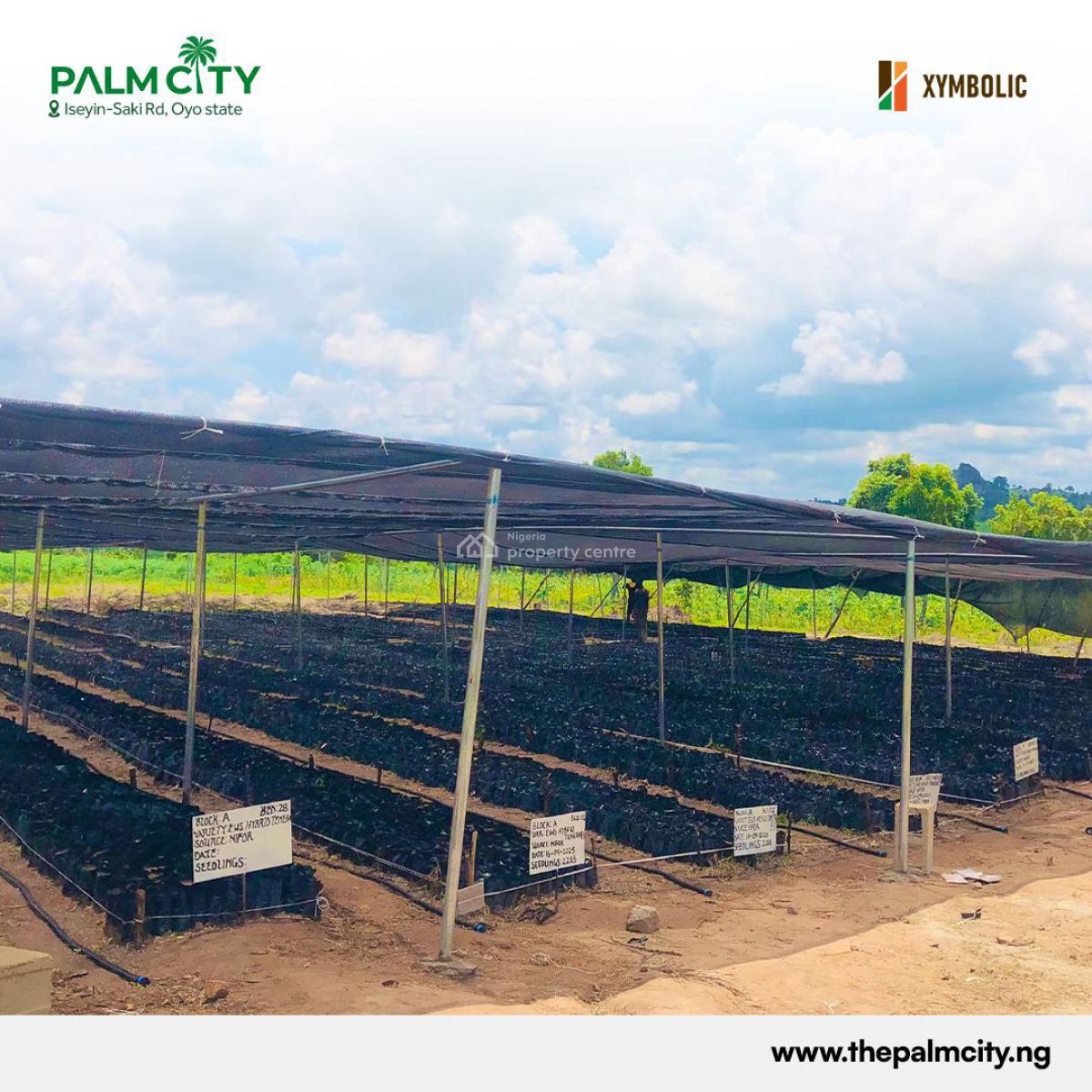 1 Acre of Palm City Farm, Palm Plantation Farm - Palm City Farm Ibadan, Iseyin, Oyo, Mixed-use Land for Sale
