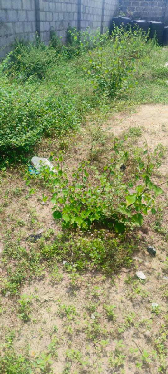 Strategic Property, Adeola Odeku Way, Victoria Island (vi), Lagos, Commercial Land for Sale