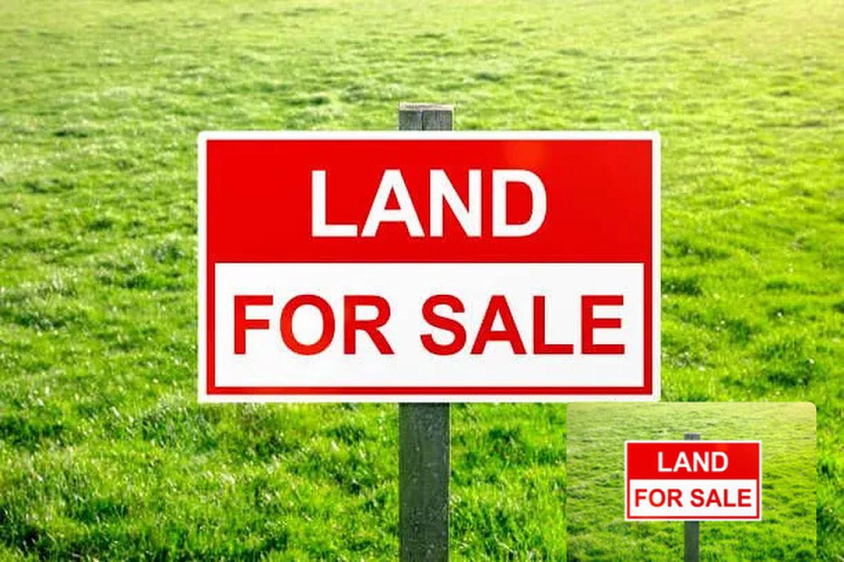 Fantastic Expanse of Dry Land, Orchid Road, Lekki, Lekki, Lagos, Land for Sale