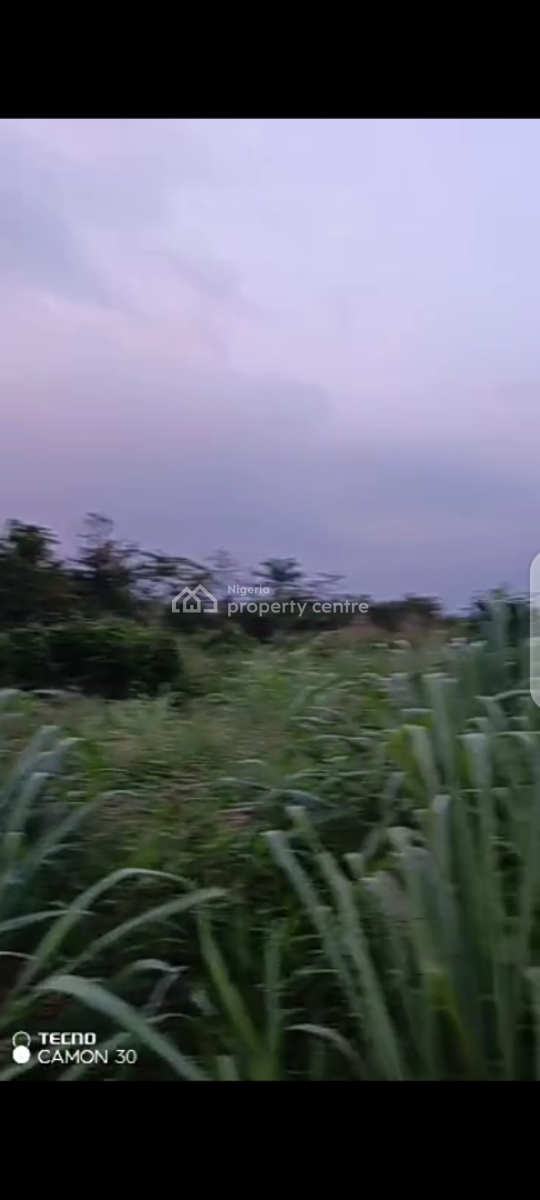 Ploi of Land at Olowotedo, Less Than 10 Minutes Drive From Berger, Olowotedo Bus Stop, Ibafo, Ogun, Residential Land for Sale