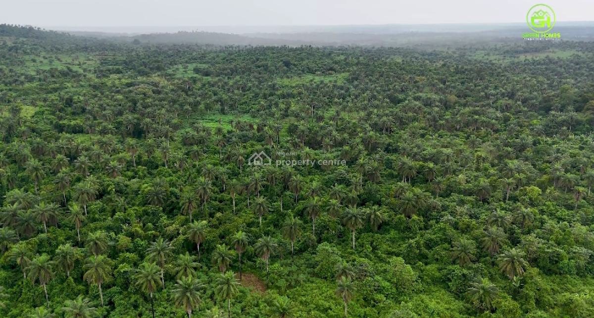 Govt Approved Palm Oil Plantation with C of O Title, Wealth Creation Estate, Yewa North, Ogun, Commercial Land for Sale
