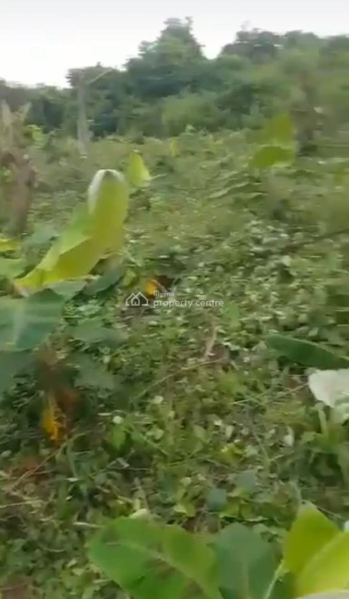Govt Approved Palm Oil Plantation with C of O Title, Wealth Creation Estate, Yewa North, Ogun, Commercial Land for Sale