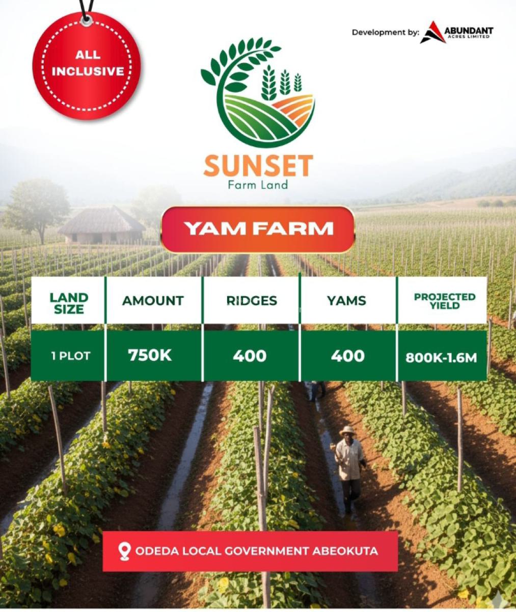 Govt Approved Palm Yam Plantation, Tesla Estates, Odeda, Ogun, Commercial Land for Sale