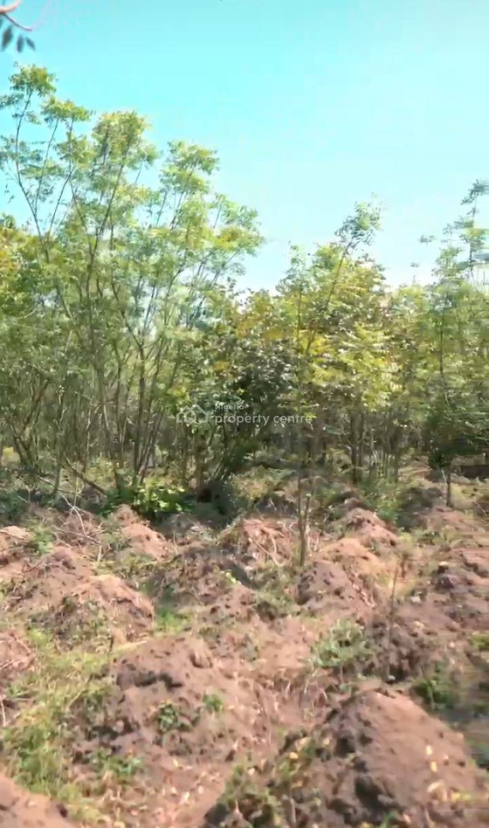 Govt Approved Palm Yam Plantation, Tesla Estates, Odeda, Ogun, Commercial Land for Sale