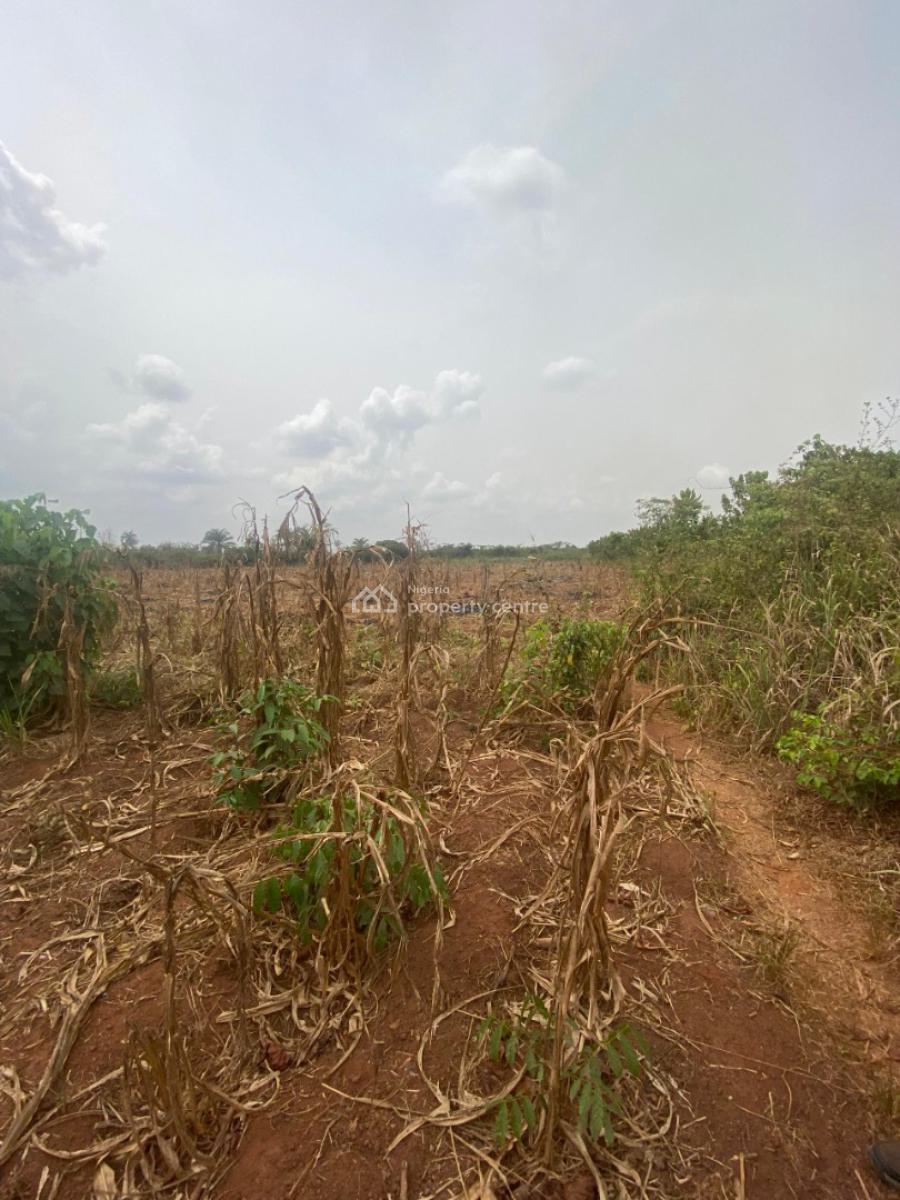 7.1 Acres of Fertile Land Are Available, Jagunna Olasoju Village, Egba, Owode, Obafemi Owode, Ogun, Mixed-use Land for Sale