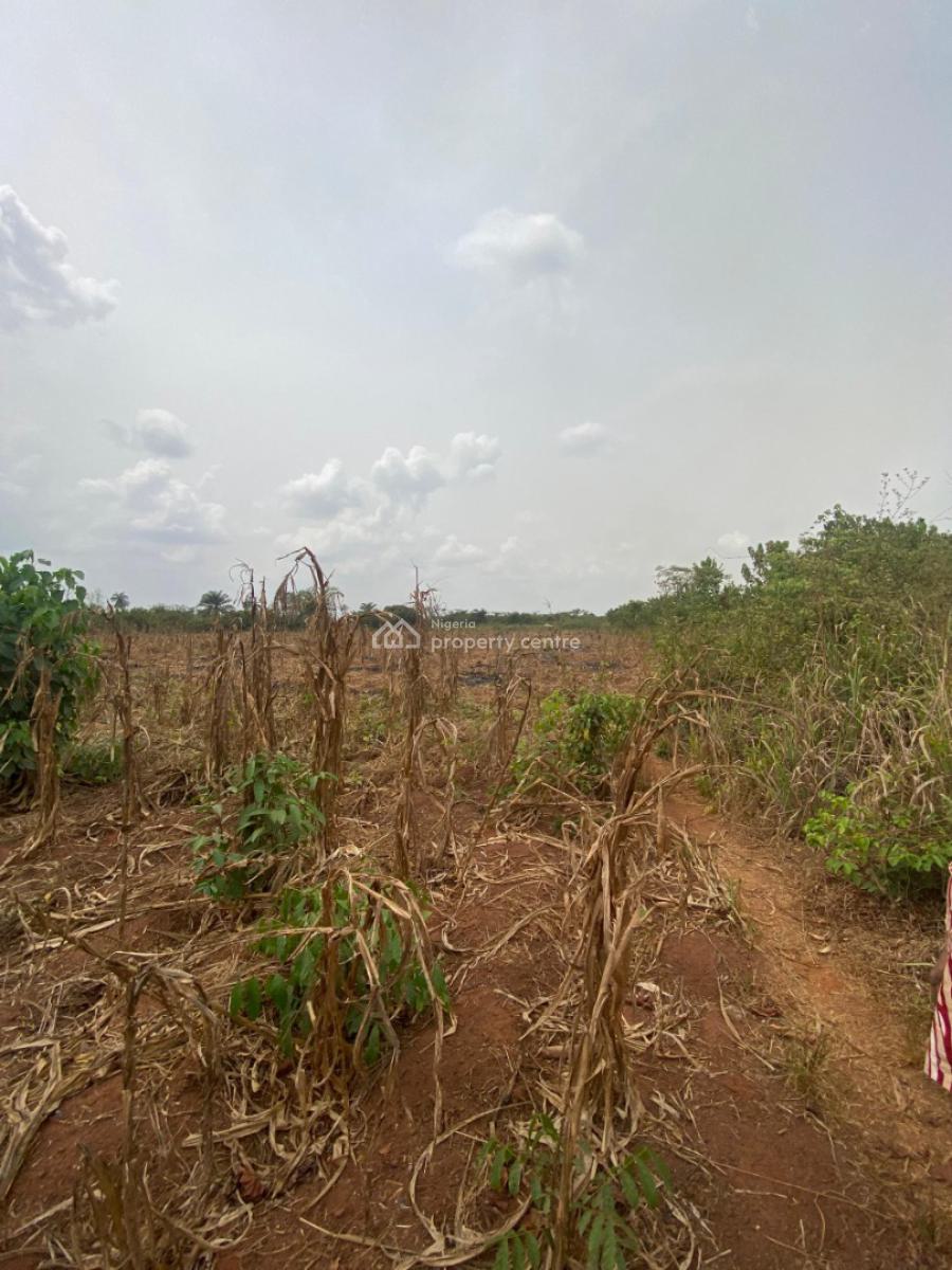 7.1 Acres of Fertile Land Are Available, Jagunna Olasoju Village, Egba, Owode, Obafemi Owode, Ogun, Mixed-use Land for Sale