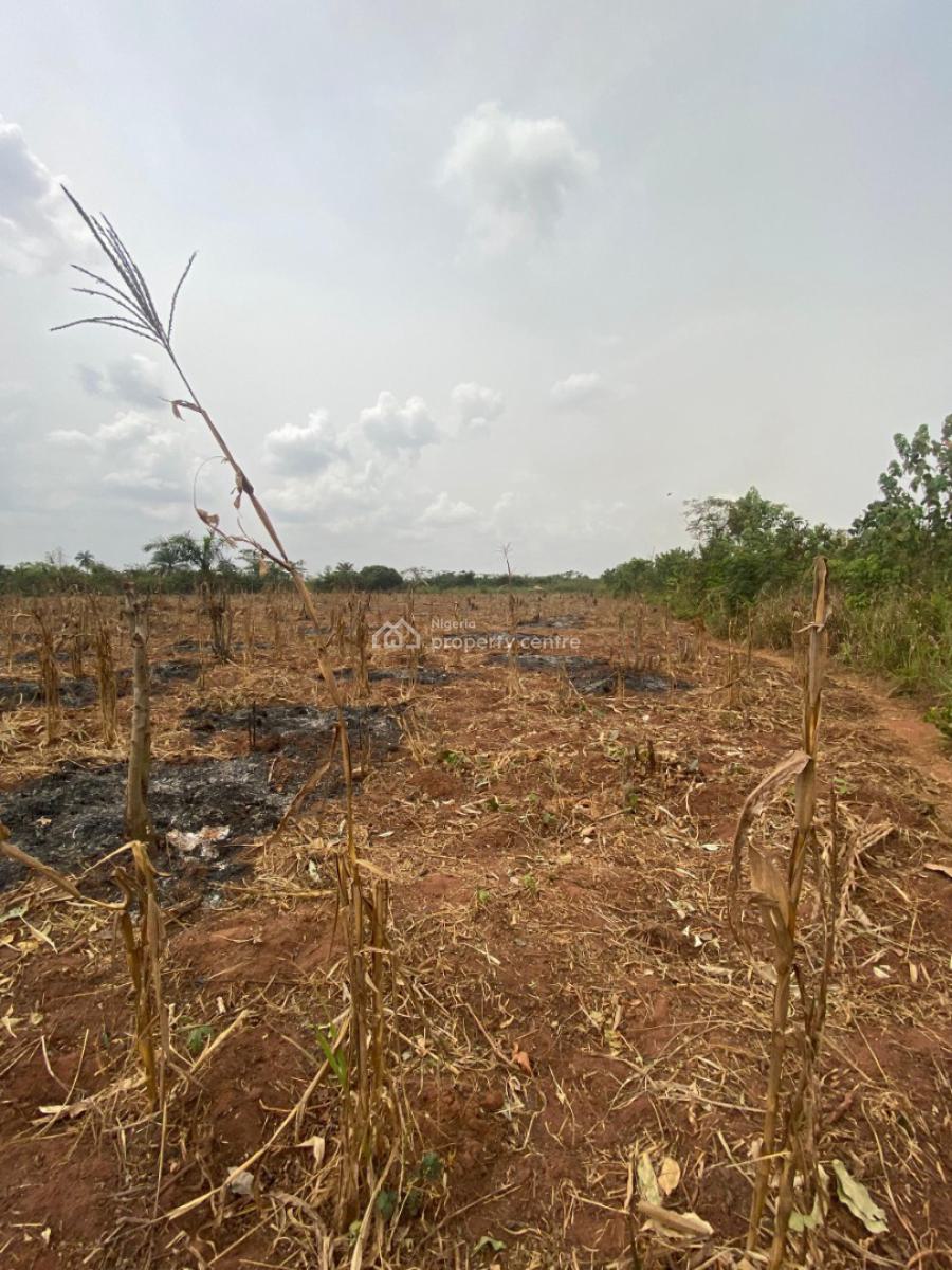 7.1 Acres of Fertile Land Are Available, Jagunna Olasoju Village, Egba, Owode, Obafemi Owode, Ogun, Mixed-use Land for Sale