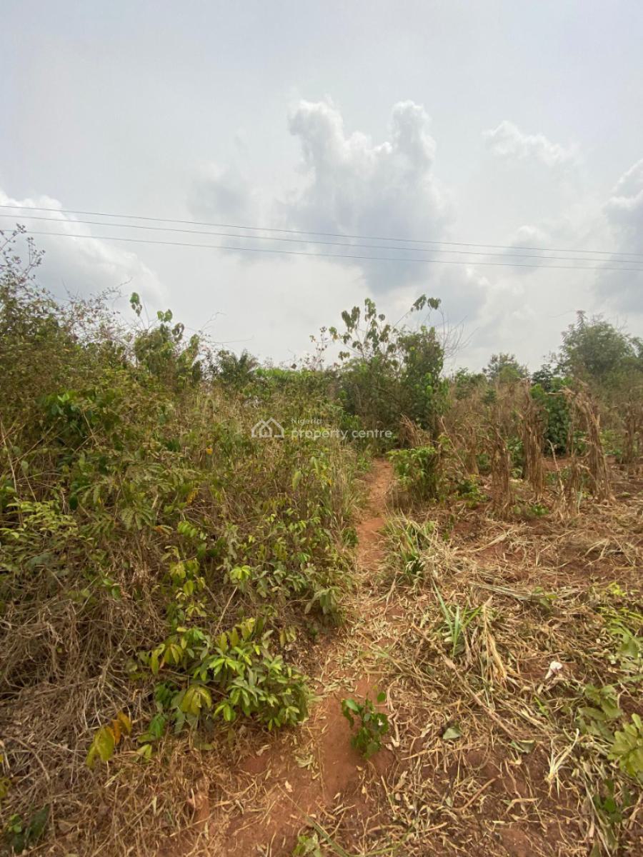 7.1 Acres of Fertile Land Are Available, Jagunna Olasoju Village, Egba, Owode, Obafemi Owode, Ogun, Mixed-use Land for Sale