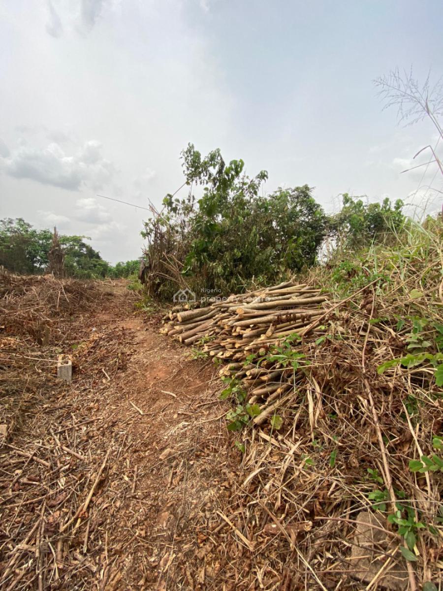 7.1 Acres of Fertile Land Are Available, Jagunna Olasoju Village, Egba, Owode, Obafemi Owode, Ogun, Mixed-use Land for Sale