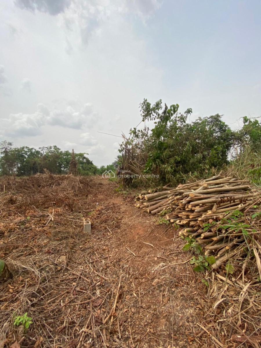 7.1 Acres of Fertile Land Are Available, Jagunna Olasoju Village, Egba, Owode, Obafemi Owode, Ogun, Mixed-use Land for Sale
