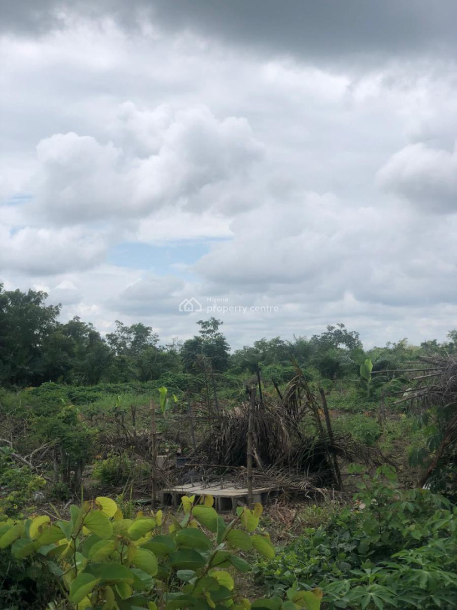 Buy Now and Start Farming on Your Own Land, Off Funaab, Alabata Road, Odeda, Ogun, Mixed-use Land for Sale