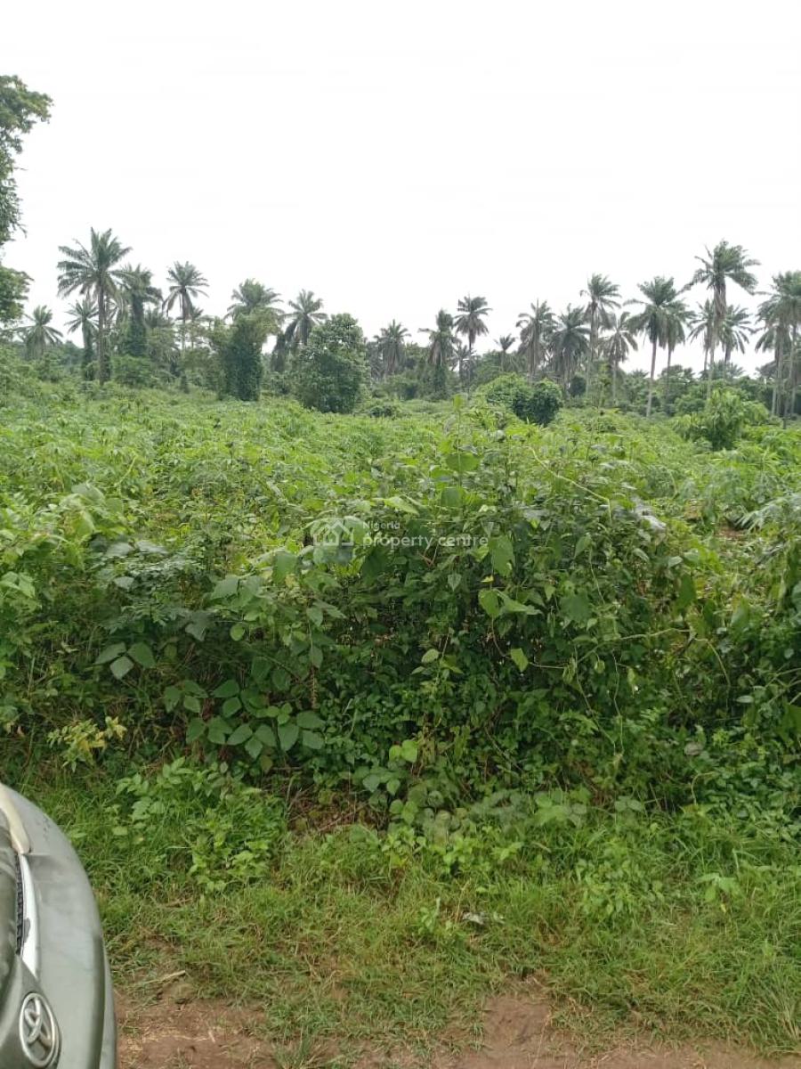 800 Estats  Land for Farming with a Registered Survey Plan in Ogun, Milebrook Farm City Via Ipara Ogere Rd, Obafemi Owode, Ogun, Mixed-use Land for Sale