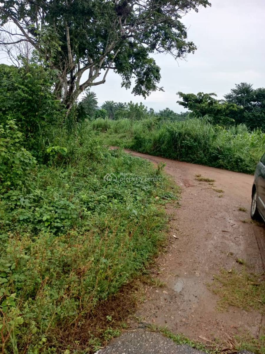 800 Estats  Land for Farming with a Registered Survey Plan in Ogun, Milebrook Farm City Via Ipara Ogere Rd, Obafemi Owode, Ogun, Mixed-use Land for Sale