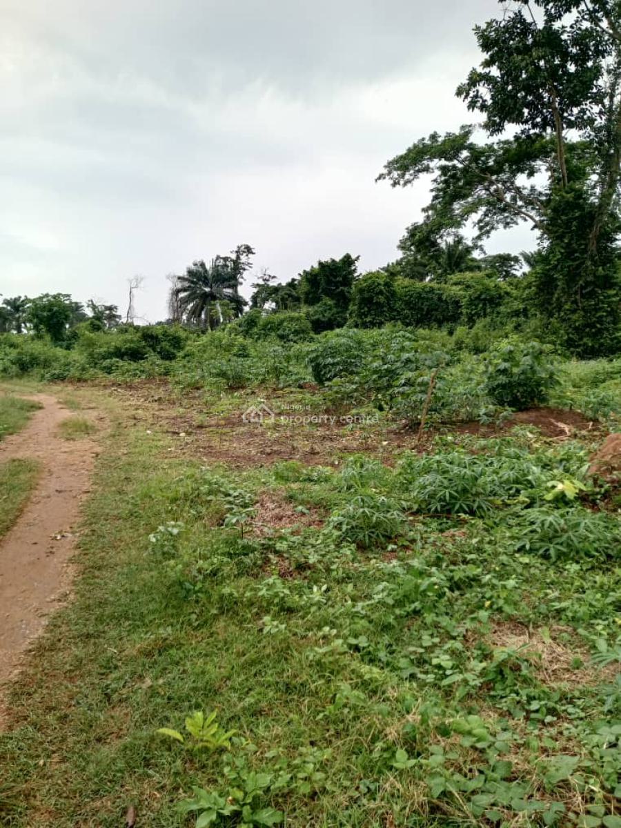 800 Estats  Land for Farming with a Registered Survey Plan in Ogun, Milebrook Farm City Via Ipara Ogere Rd, Obafemi Owode, Ogun, Mixed-use Land for Sale