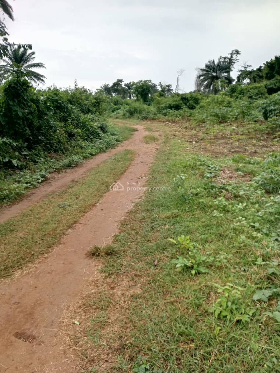 800 Estats  Land for Farming with a Registered Survey Plan in Ogun, Milebrook Farm City Via Ipara Ogere Rd, Obafemi Owode, Ogun, Mixed-use Land for Sale