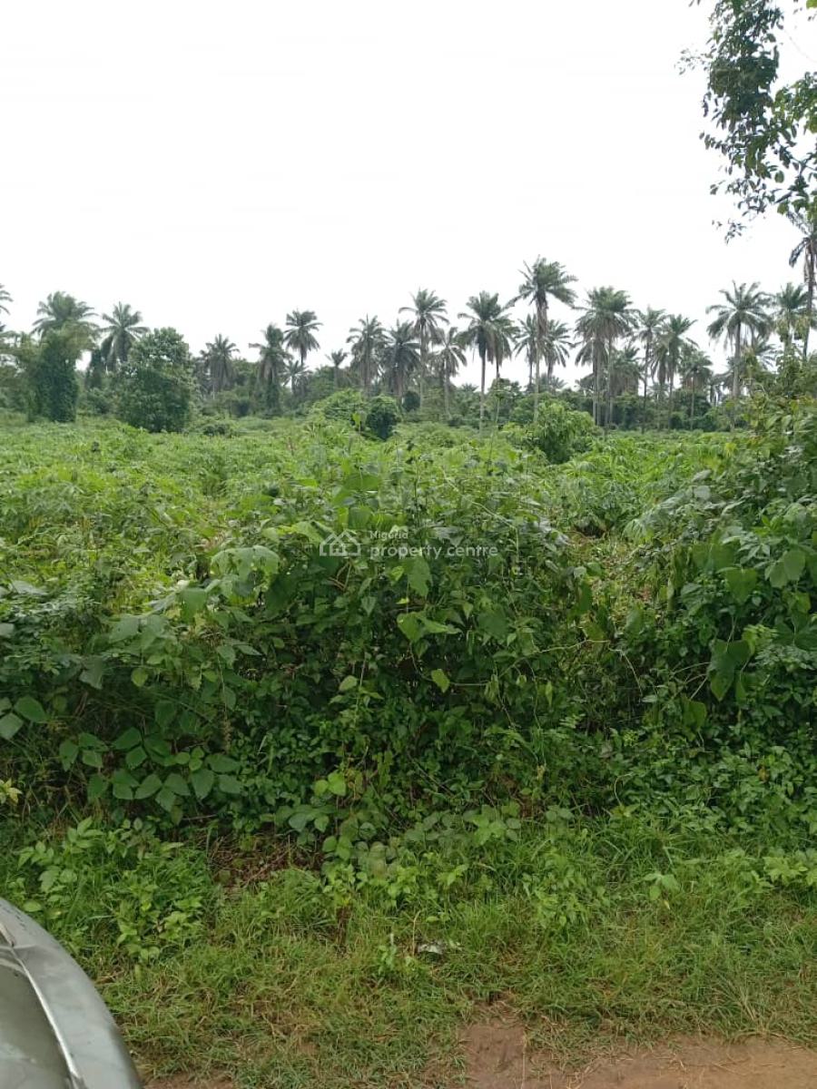800 Estats  Land for Farming with a Registered Survey Plan in Ogun, Milebrook Farm City Via Ipara Ogere Rd, Obafemi Owode, Ogun, Mixed-use Land for Sale