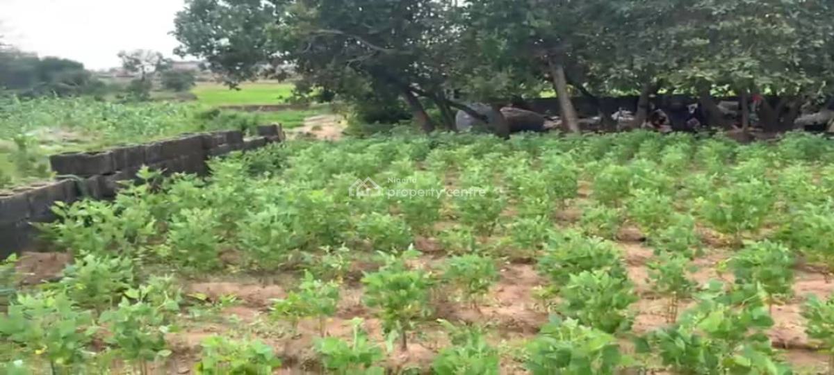 Fenced Bare Land Measuring 1,042.10sqm, By Christ Church, Jahi, Abuja, Residential Land for Sale