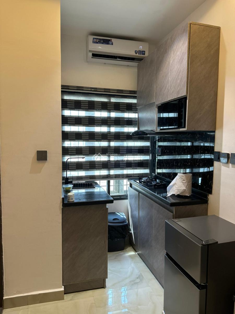 Standard 1 Bedroom Apartment, The Verde, Wuye, Abuja, Mini Flat (room and Parlour) Short Let