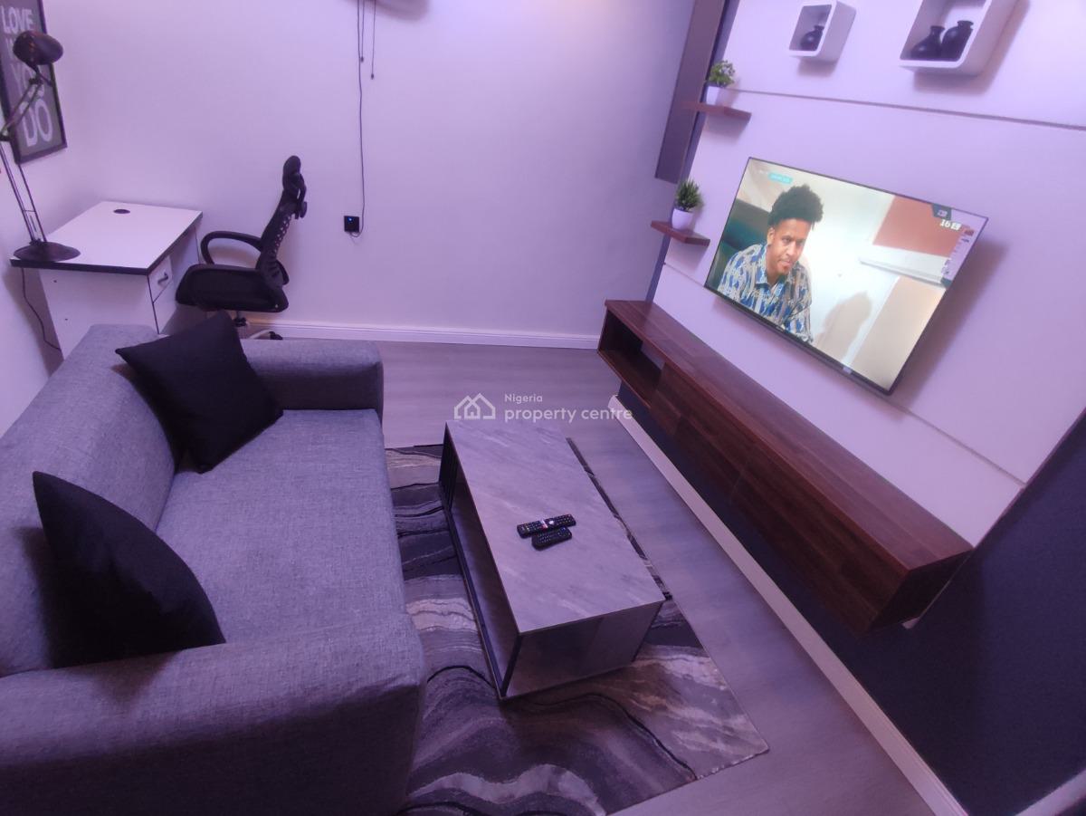 Luxurious and Comfortable One Bedroom Apartment, Onike, Yaba, Lagos, Mini Flat (room and Parlour) Short Let