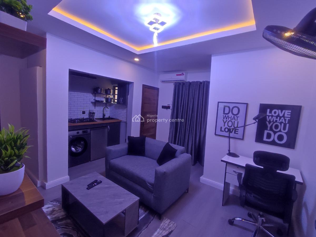 Luxurious and Comfortable One Bedroom Apartment, Onike, Yaba, Lagos, Mini Flat (room and Parlour) Short Let