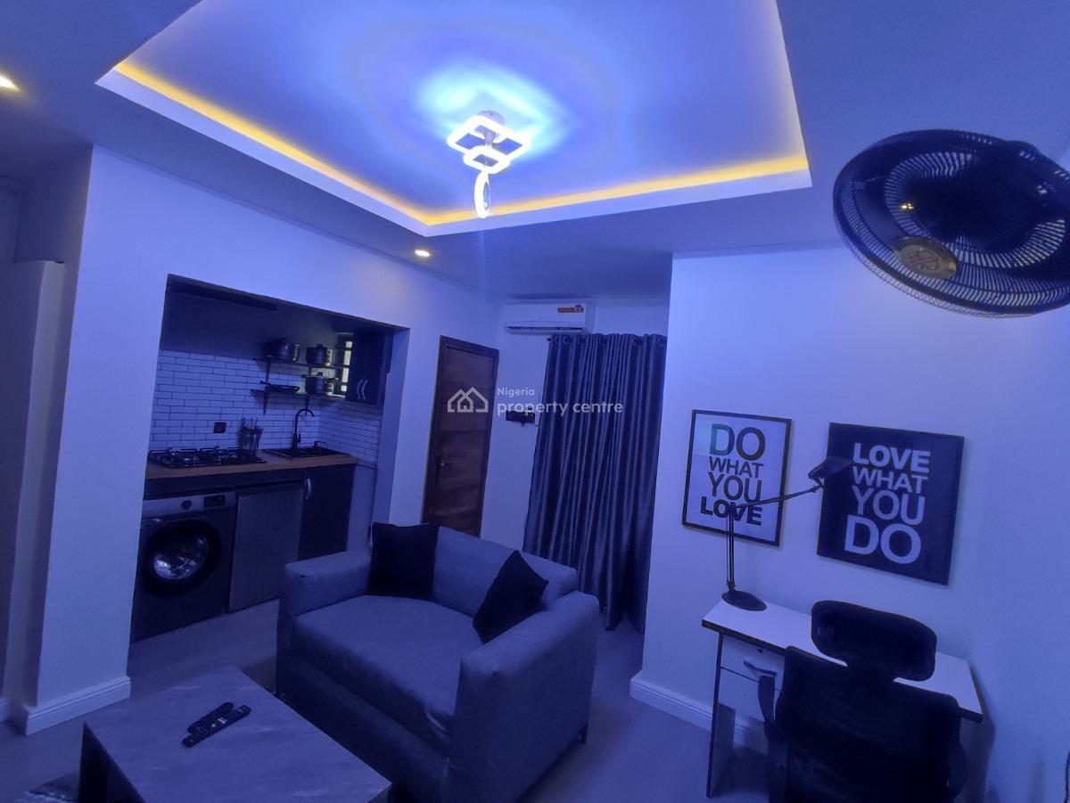 Luxurious and Comfortable One Bedroom Apartment, Onike, Yaba, Lagos, Mini Flat (room and Parlour) Short Let