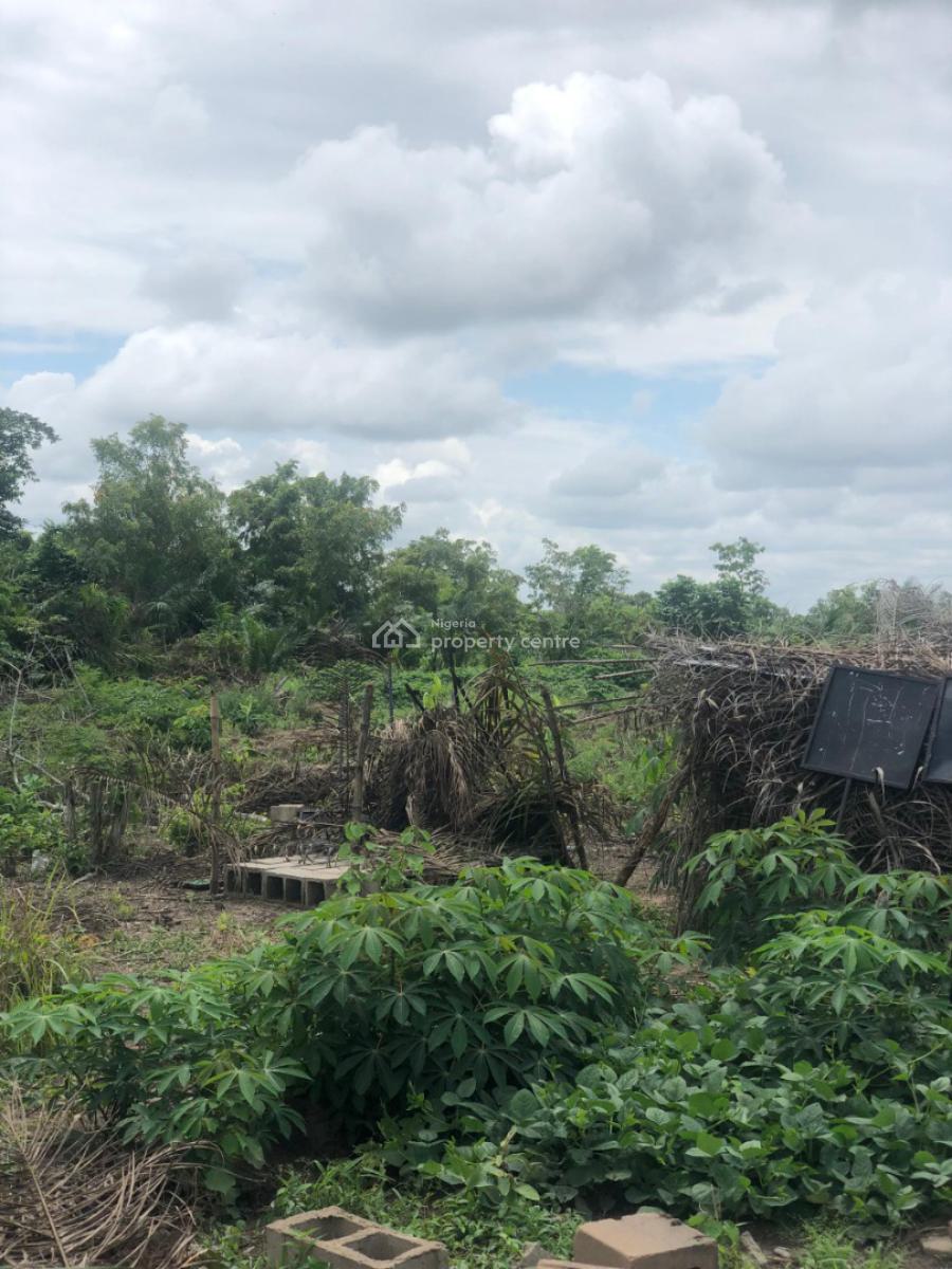Affordable Farm Land with High Returns on Investment, Off Funaab, Alabata Road, Odeda, Ogun, Mixed-use Land for Sale