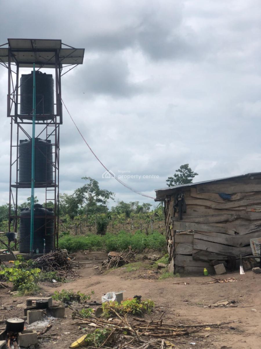 Affordable Farm Land with High Returns on Investment, Off Funaab, Alabata Road, Odeda, Ogun, Mixed-use Land for Sale