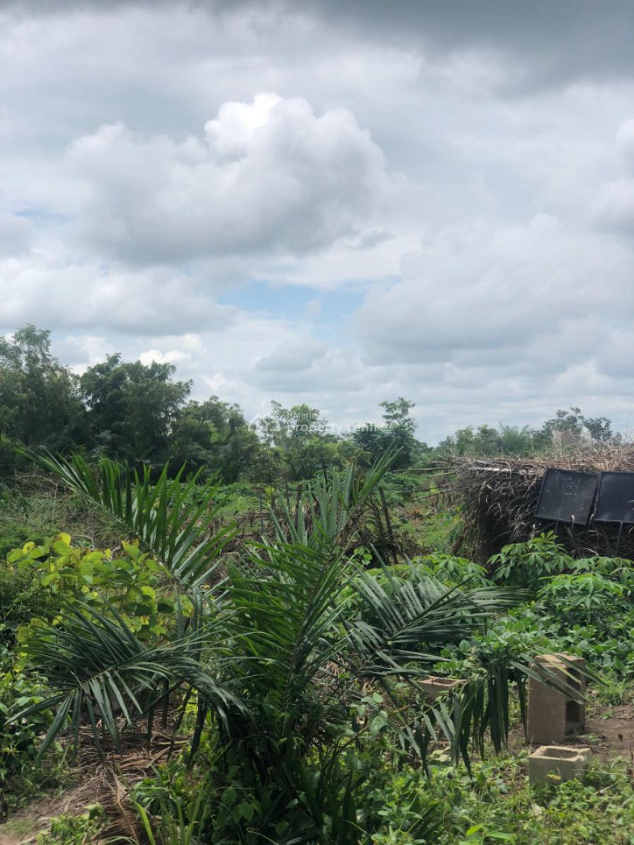 Affordable Farm Land with High Returns on Investment, Off Funaab, Alabata Road, Odeda, Ogun, Mixed-use Land for Sale