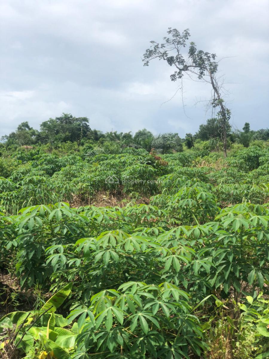 Start Your Agricultural Journey with This Farmland, Off Funaab, Alabata Road, Odeda, Ogun, Mixed-use Land for Sale