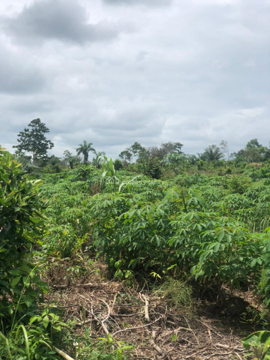 Start Your Agricultural Journey with This Farmland, Off Funaab, Alabata Road, Odeda, Ogun, Mixed-use Land for Sale
