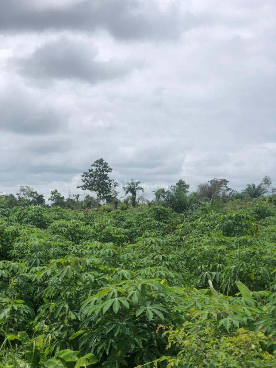 Invest in Agriculture and Watch Your Money Grow, Off Funaab, Alabata Road, Odeda, Ogun, Mixed-use Land for Sale