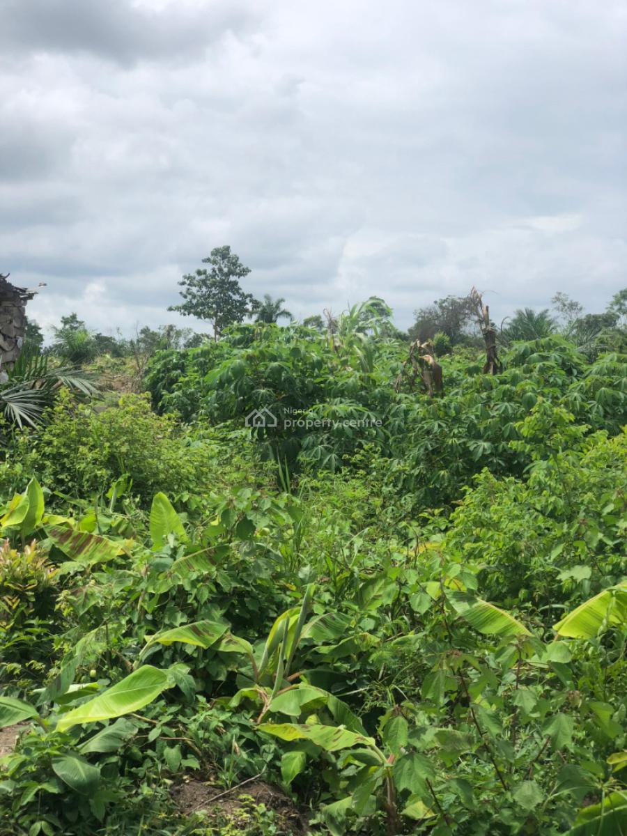Invest in Agriculture and Watch Your Money Grow, Off Funaab, Alabata Road, Odeda, Ogun, Mixed-use Land for Sale