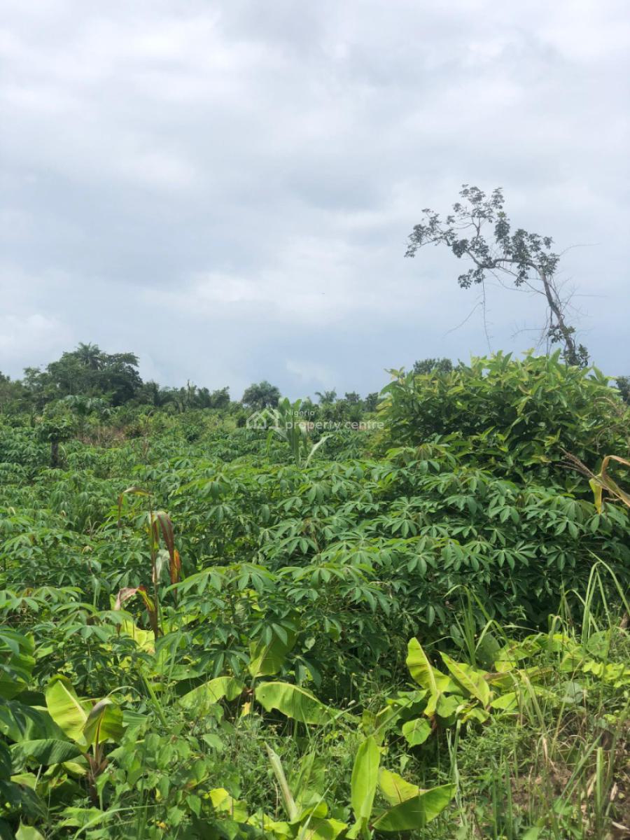 Invest in Agriculture and Watch Your Money Grow, Off Funaab, Alabata Road, Odeda, Ogun, Mixed-use Land for Sale