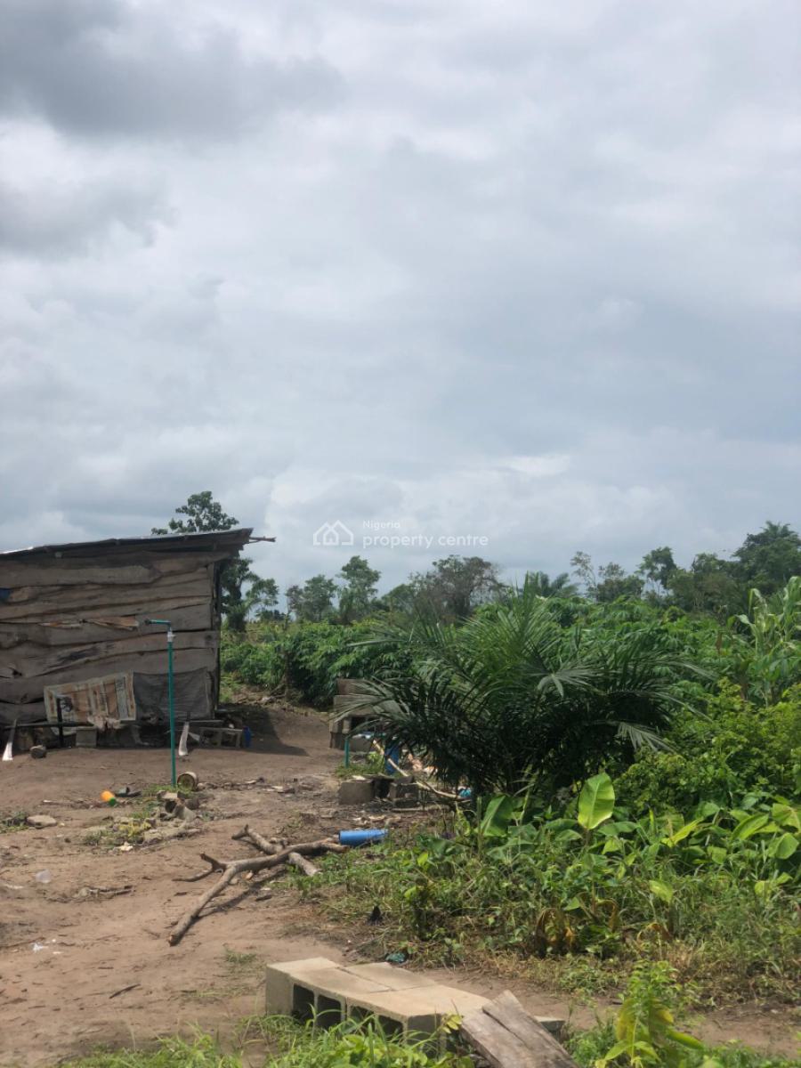 Affordable Farmland Ready for Farming and Investment, Off Funaab, Alabata Road, Odeda, Ogun, Mixed-use Land for Sale