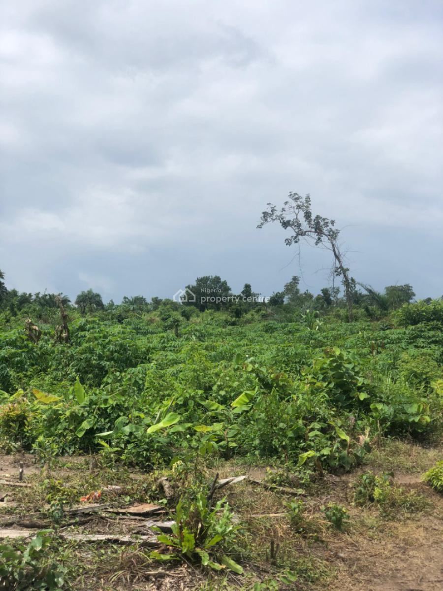 Affordable Farmland Ready for Farming and Investment, Off Funaab, Alabata Road, Odeda, Ogun, Mixed-use Land for Sale