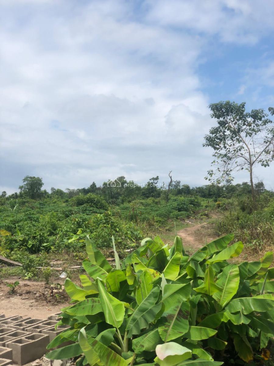 Earn Yearly From Plantain Plantation, Off Funaab, Alabata Road, Odeda, Ogun, Mixed-use Land for Sale