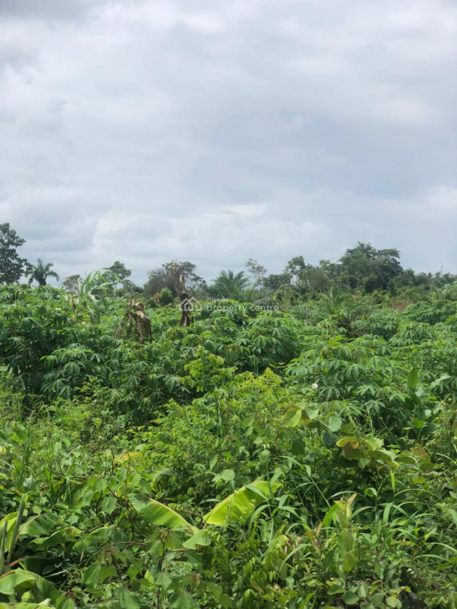 Earn Yearly From Cassava Plantation, Off Funaab, Alabata Road, Odeda, Ogun, Mixed-use Land for Sale