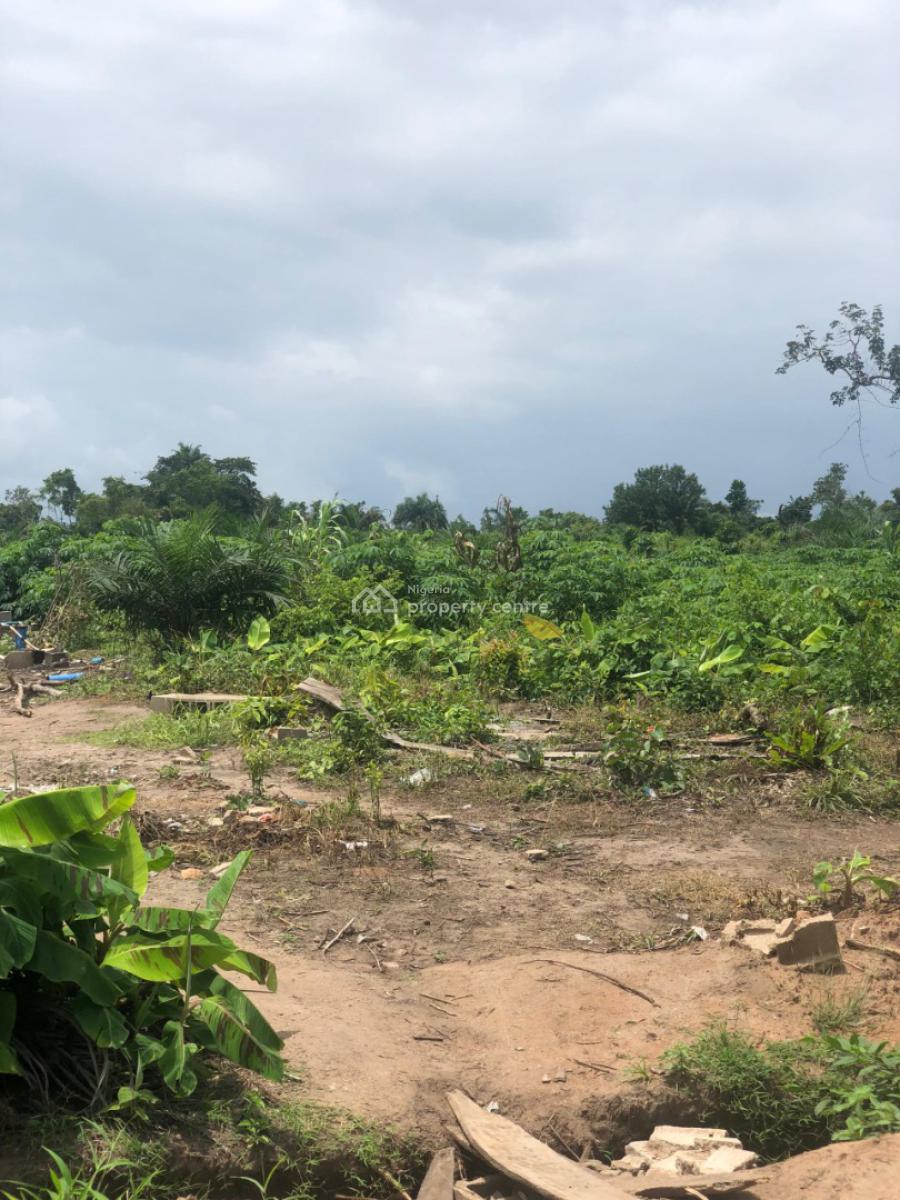 Earn Yearly From Cassava Plantation, Off Funaab, Alabata Road, Odeda, Ogun, Mixed-use Land for Sale