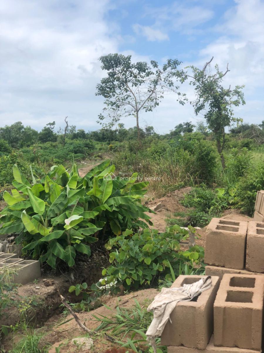 Earn Up to N2m Yearly From Plantain Plantation, Odeda, Ogun, Mixed-use Land for Sale