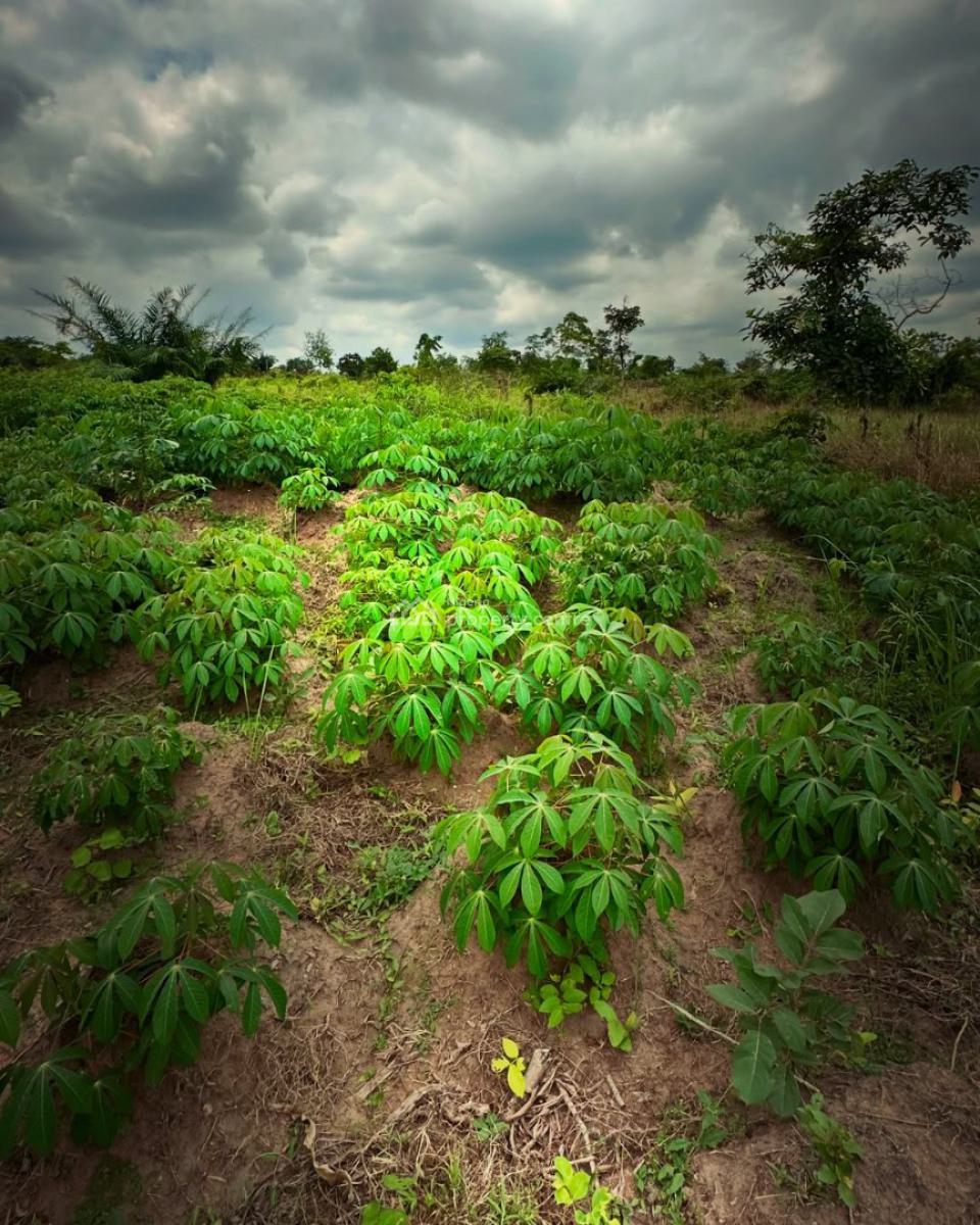 Make Money Annually From Cassava Farming, Off Funaab, Alabata Road, Odeda, Ogun, Mixed-use Land for Sale