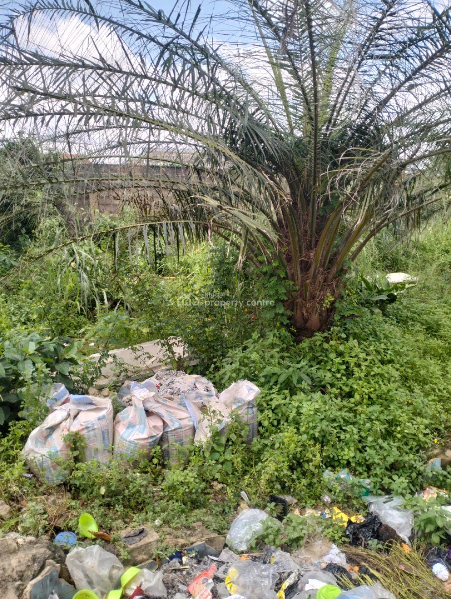 Dry Table Land with 4-shops, Off Atan Kekere Bus Stop, Ayobo, Lagos, Industrial Land for Sale