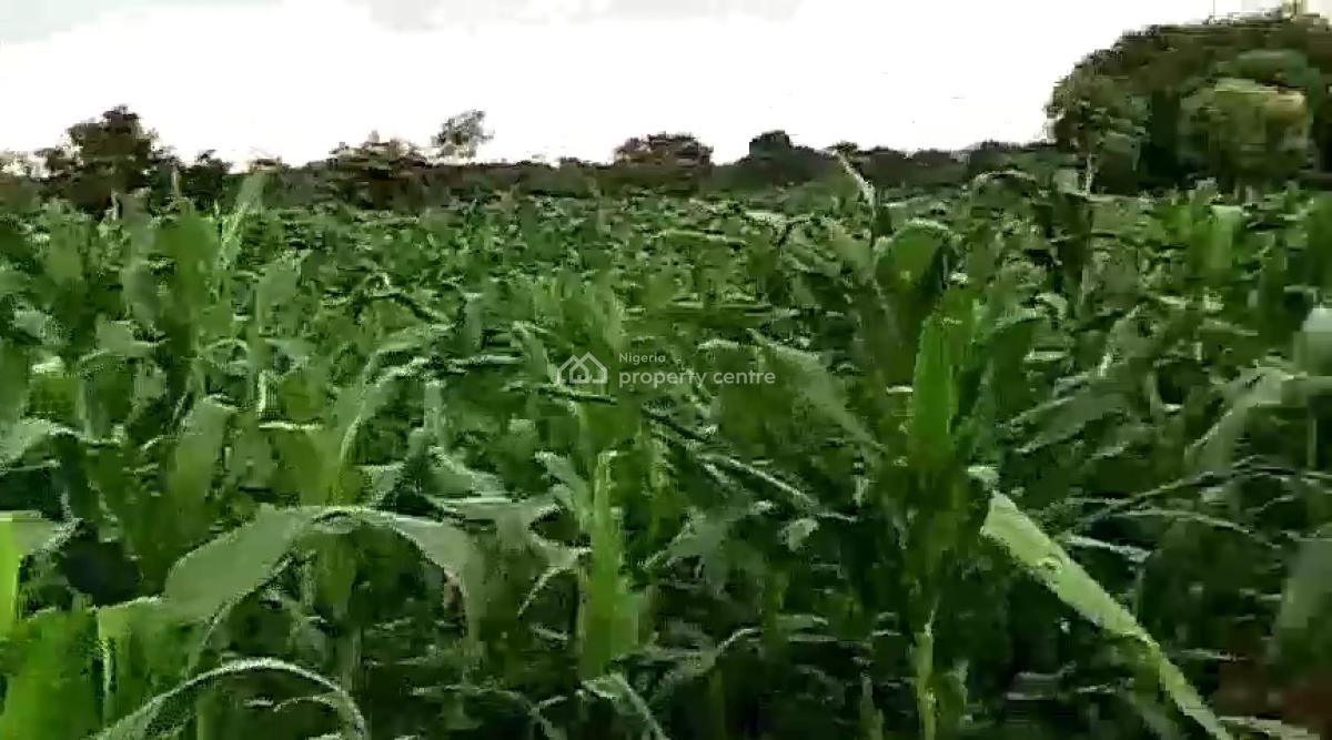 12 Hectare Farmland with Nagis Documentation, Opposite Snake Farm, Karu, Nasarawa, Mixed-use Land for Sale