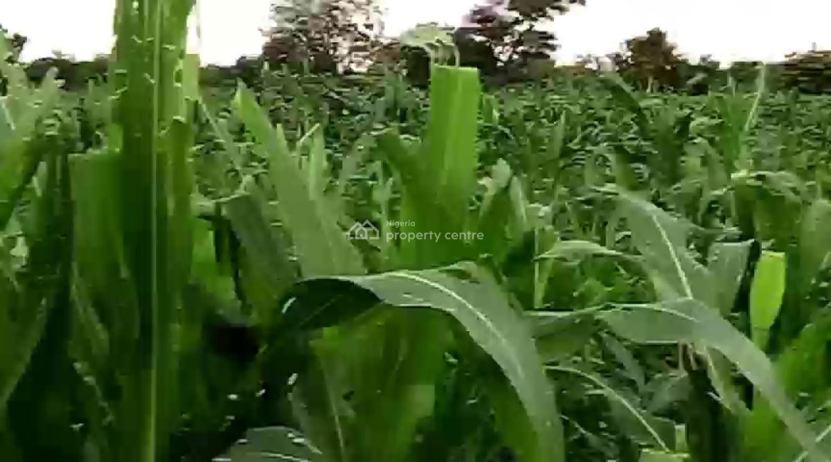 12 Hectare Farmland with Nagis Documentation, Opposite Snake Farm, Karu, Nasarawa, Mixed-use Land for Sale