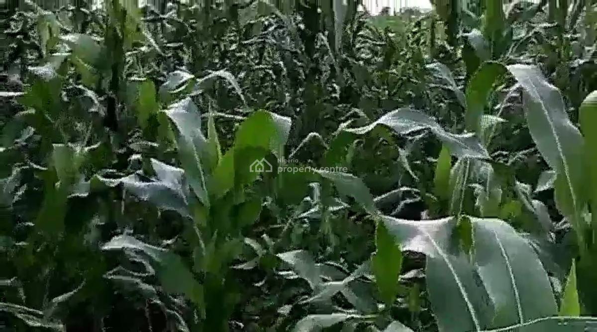 12 Hectare Farmland with Nagis Documentation, Opposite Snake Farm, Karu, Nasarawa, Mixed-use Land for Sale