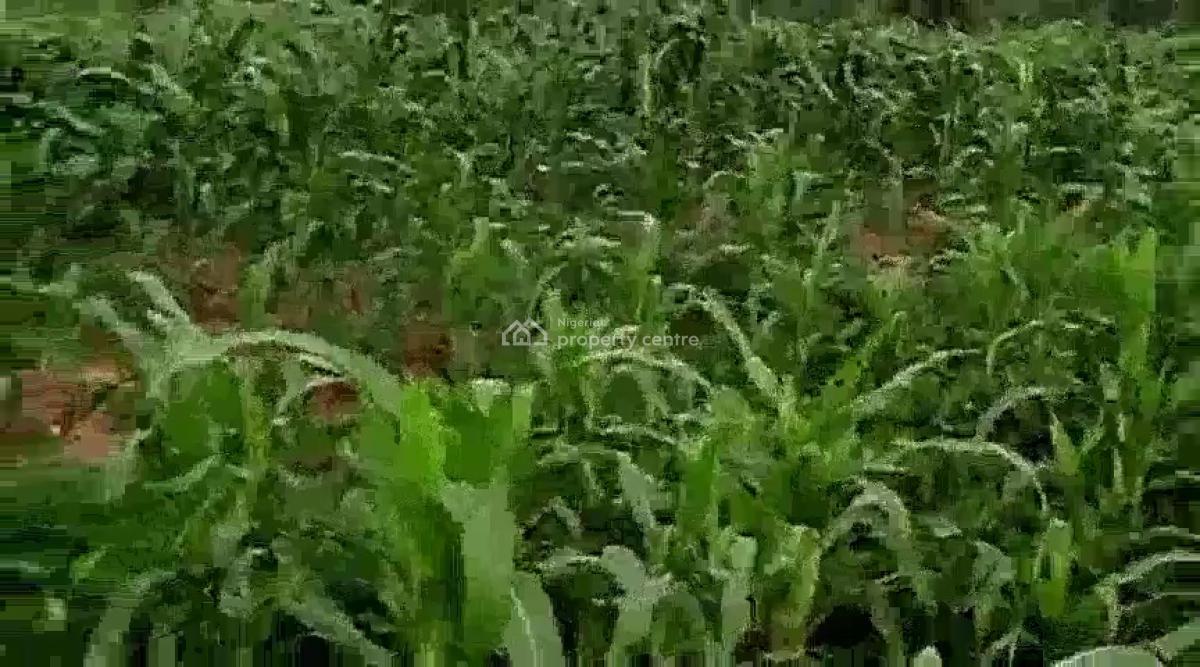 12 Hectare Farmland with Nagis Documentation, Opposite Snake Farm, Karu, Nasarawa, Mixed-use Land for Sale