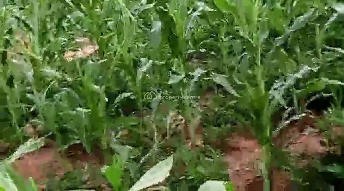 12 Hectare Farmland with Nagis Documentation, Opposite Snake Farm, Karu, Nasarawa, Mixed-use Land for Sale